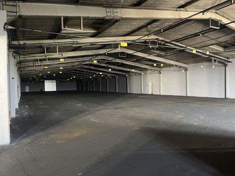 Hunderdorf Halle, Hunderdorf Hallenfläche