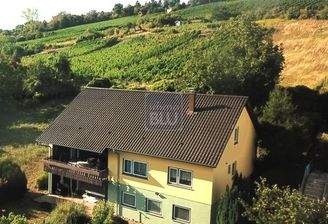 EFH am Rande der Weinberge