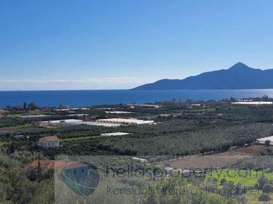 img_eb413874-2b6a-494b-8e83-7cc0451cb75f