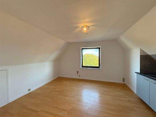 Ansicht Wohnen/Ess-/Küchenbereich