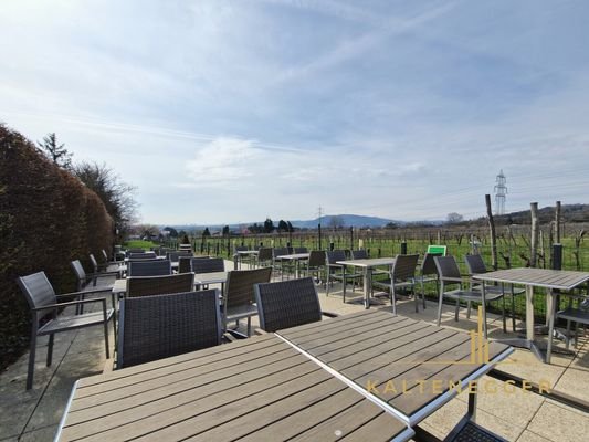 Gastgarten mit Blick auf die Weingärten und Wien