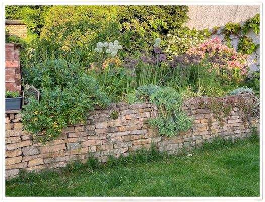 Gartenimpression (Archivbild)