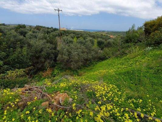 Kreta Sisi - vier Wohnungen in einem großen Garten zur Renovierung