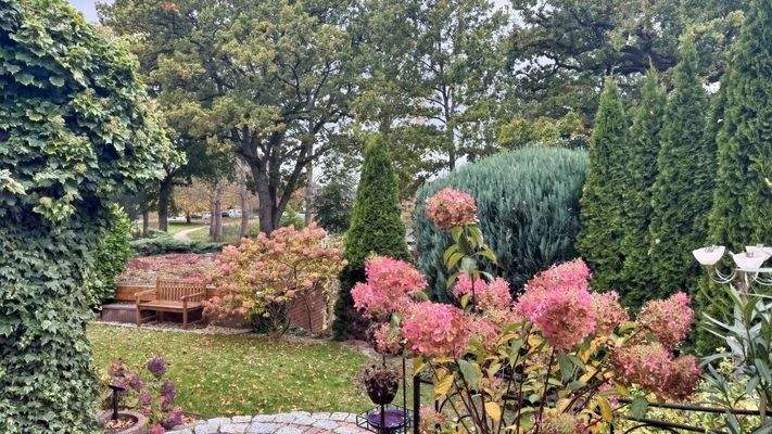 Blick von der Terrasse zum See