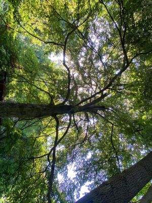 Schlosspark (14).JPG