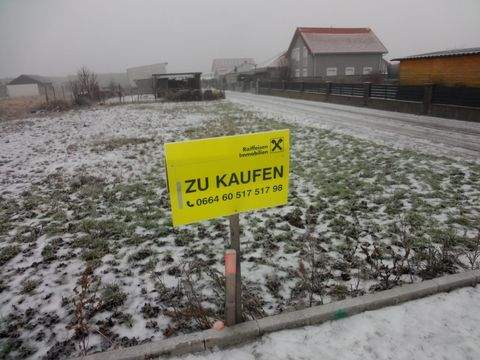 Purbach am Neusiedler See Grundstücke, Purbach am Neusiedler See Grundstück kaufen