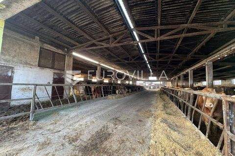 Djakovo Büros, Büroräume, Büroflächen 