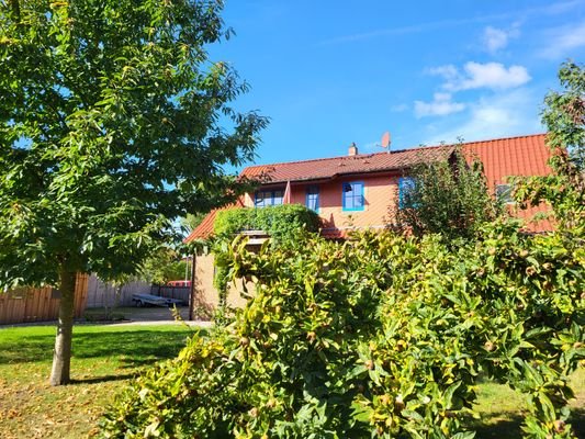 10. Garten mit Blick zum Balkon