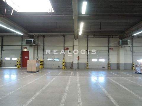 Dettingen Halle, Dettingen Hallenfläche