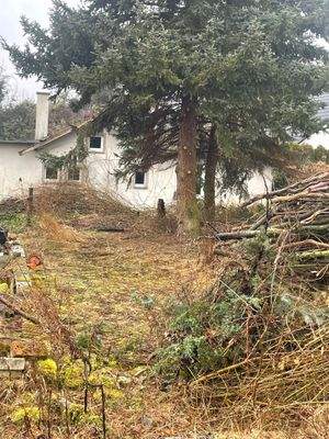 Bebauung_1 IMG_4096.jpg