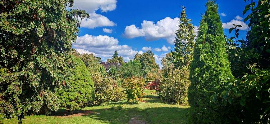 Blick in den Garten.jpg