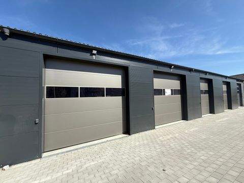 Bammental Halle, Bammental Hallenfläche