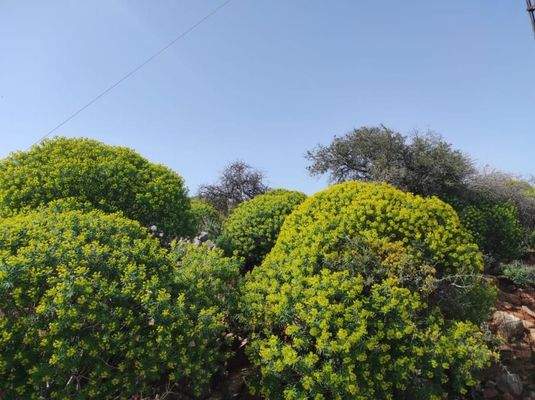 Kreta, Omprogialos: Grundstück mit unverbaubarem Meerblick zu verkaufen