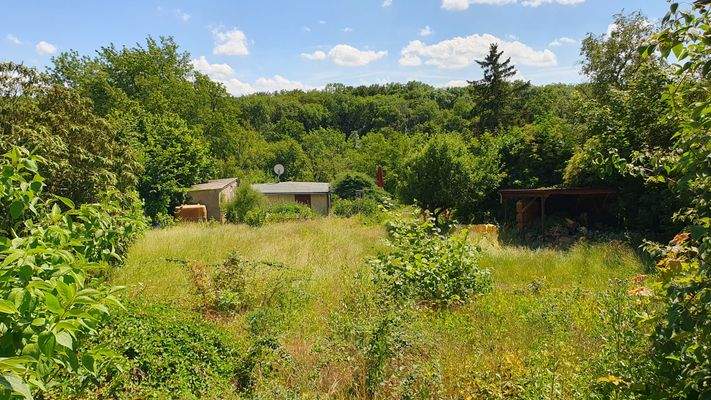 MEHR GRÜN GEHT NICHT!