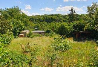 MEHR GRÜN GEHT NICHT!