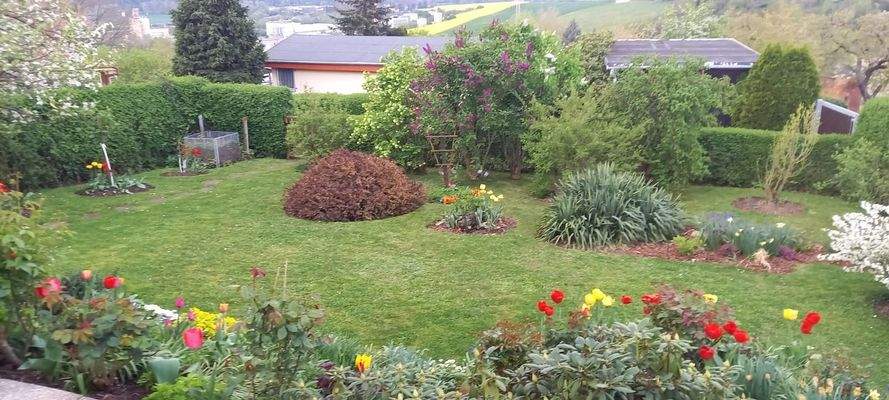 Gartenimpressionen des letzten Jahres (5).JPG