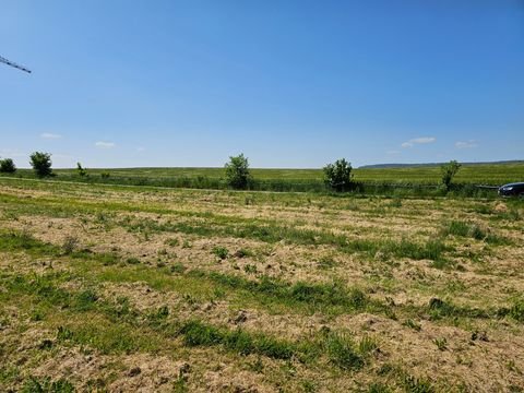 Bad Schussenried Grundstücke, Bad Schussenried Grundstück kaufen