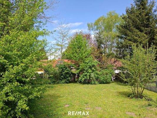 Schöner Baumbestand