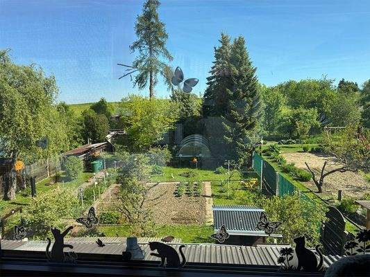 Ausblick in den Garten