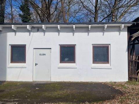 Elmshorn Halle, Elmshorn Hallenfläche