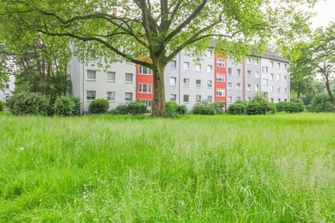 Duisburg Wohnungen, Duisburg Wohnung mieten