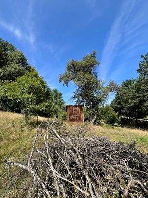 Bienenhaus mit Holz.JPG