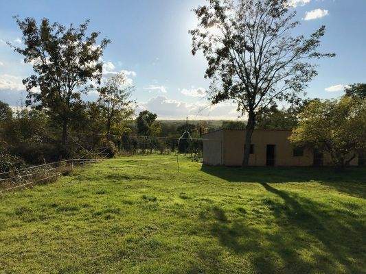 Blick von Grundstücksmitte in Richtung Saaleradweg