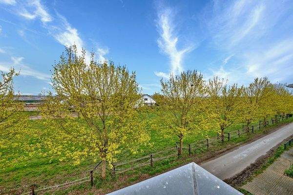 View from roof terrace