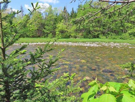 Cape Breton - Traumhaft schöne Naturlage am Middle