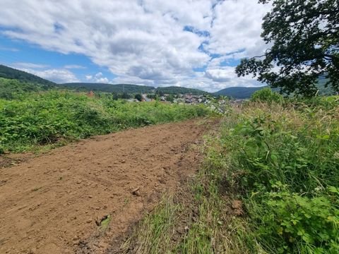 Collenberg Grundstücke, Collenberg Grundstück kaufen