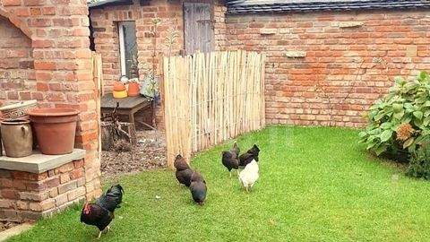 Groitzsch Häuser, Groitzsch Haus kaufen