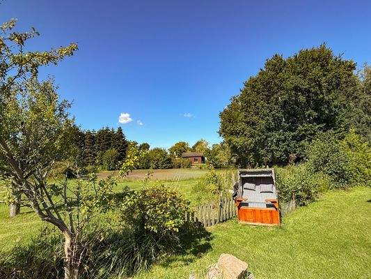 Blick in die Natur, Teich, Grünfläche