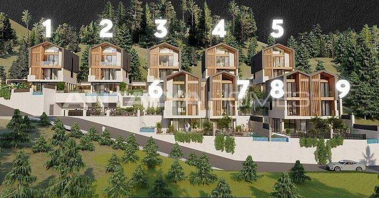 Detached Houses with Sea Views and Pools in Alanya Tepe