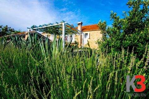 Hvar Häuser, Hvar Haus kaufen