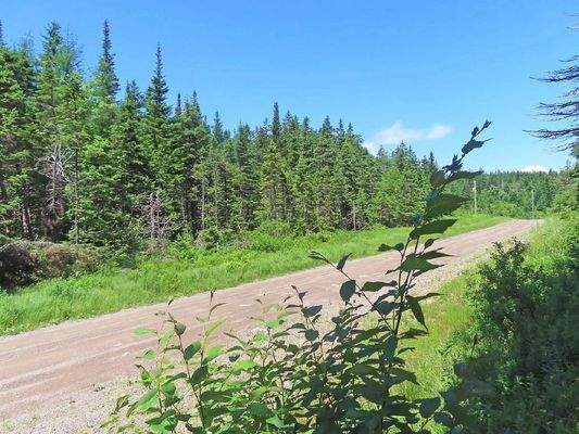 Cape Breton - Preiswertes 8,9 Hektar-Grundstück in