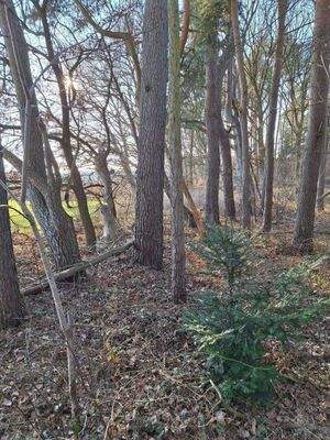 Blick auf das Wohngrundstück