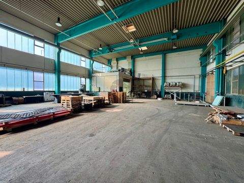 Achern Halle, Achern Hallenfläche