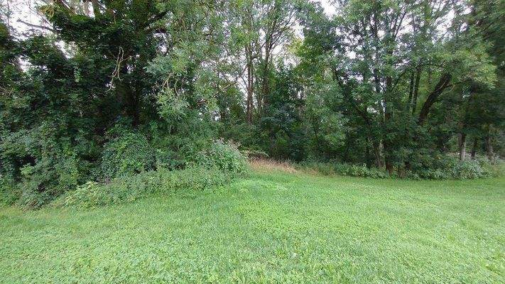 Grundstück Bild 2.jpg