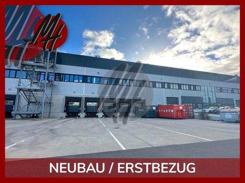 Essen Halle, Essen Hallenfläche