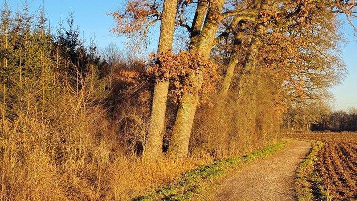 In Fußnähe (2 Minuten)