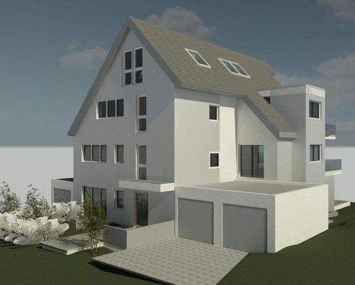 3D-Ansicht Eingangseite