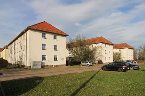 Torgau Wohnungen, Torgau Wohnung mieten