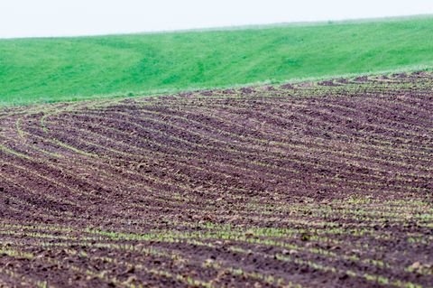 Manching Bauernhöfe, Landwirtschaft, Manching Forstwirtschaft