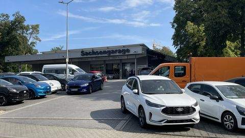 Dresden Halle, Dresden Hallenfläche