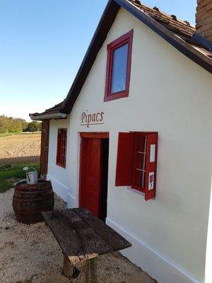 WhatsApp Image 2025-10-22 at 14.10.59 (3).jpeg