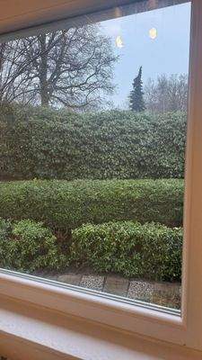 gepflegte Grünanlagen