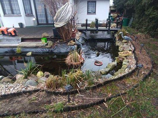 Teich Terrass 