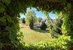Blick in den Garten
