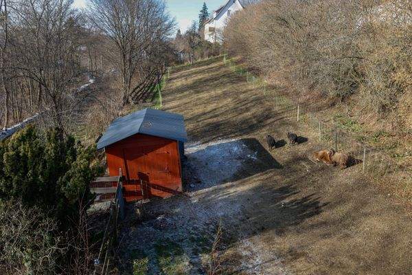 Blick auf die eigene Wiese