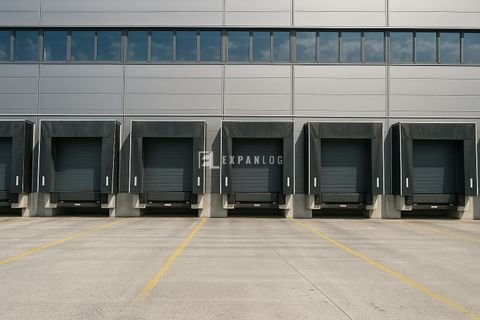 Neuss Halle, Neuss Hallenfläche
